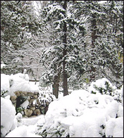 Σφοδρό κύμα κακοκαιρίας, σε λευκό κλοιό η χώρα