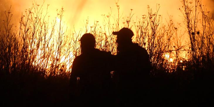 Στο φοινικόδασος της Πρέβελης η φωτιά στο Ρέθυμνο
