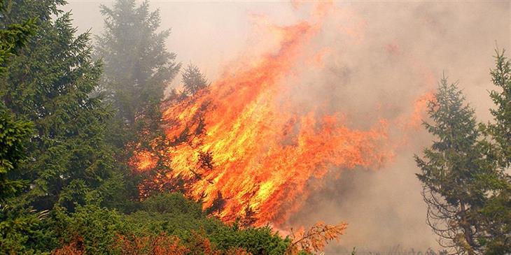 Κλειστή η Αθηνών-Λαμίας στον κόμβο του Κάστρου λόγω φωτιάς