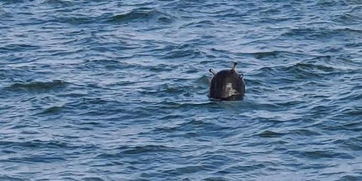 Πληροφορίες για ναρκοθέτηση στο Στενό του Ορμούζ από το Ιράν