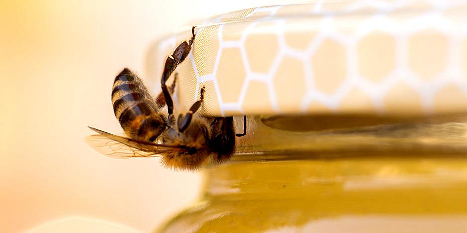 ΕΕ: Το ελληνικό «Μέλι Κισσούρι» στη λίστα ΠΟΠ προϊόντων