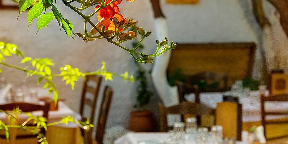 Οι πιο όμορφες αυλές σε Δάφνη, Αγιο Δημήτριο και Νέο Κόσμο