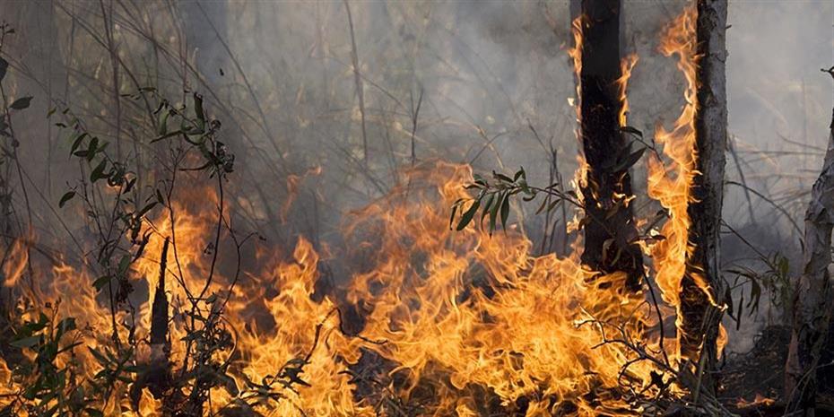 Υπό έλεγχο οι πυρκαγιές σε Ραφήνα, Βαρνάβα