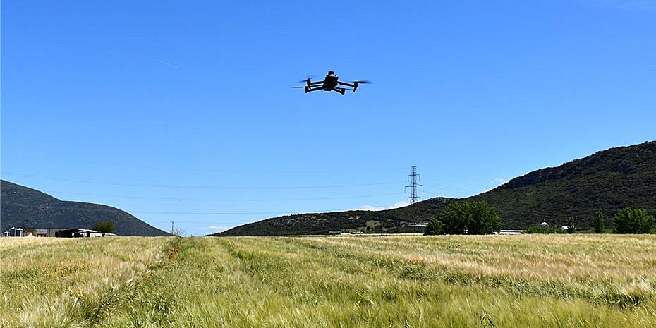 Η Αθηναϊκή Ζυθοποιία φέρνει την πράσινη γεωργία στο ποτήρι μας