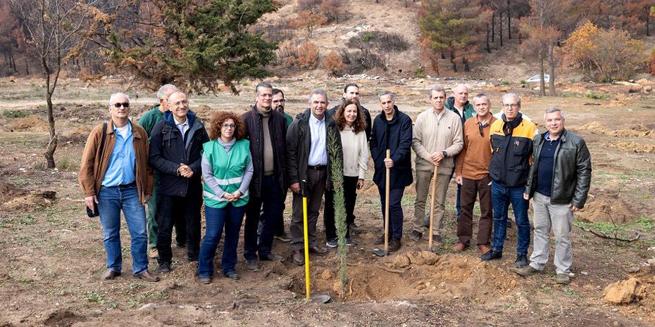 Στην αναδάσωση της Ιεράς Μονής Πεντέλης προχωρά η Nova