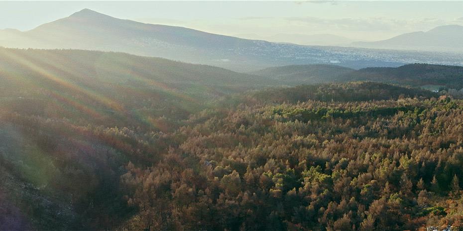 Coca-Cola στην Ελλάδα: Αποκατέστησε 7.715 στρέμματα δάσους σε Βαρυμπόμπη – Τατόι