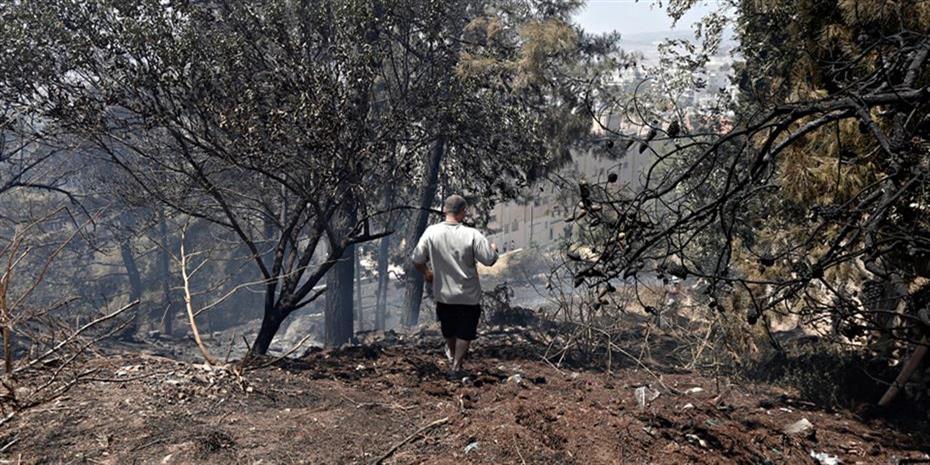 Πυρκαγιά στην Λίμνη Εύβοιας, εκκενώθηκαν οικισμοί