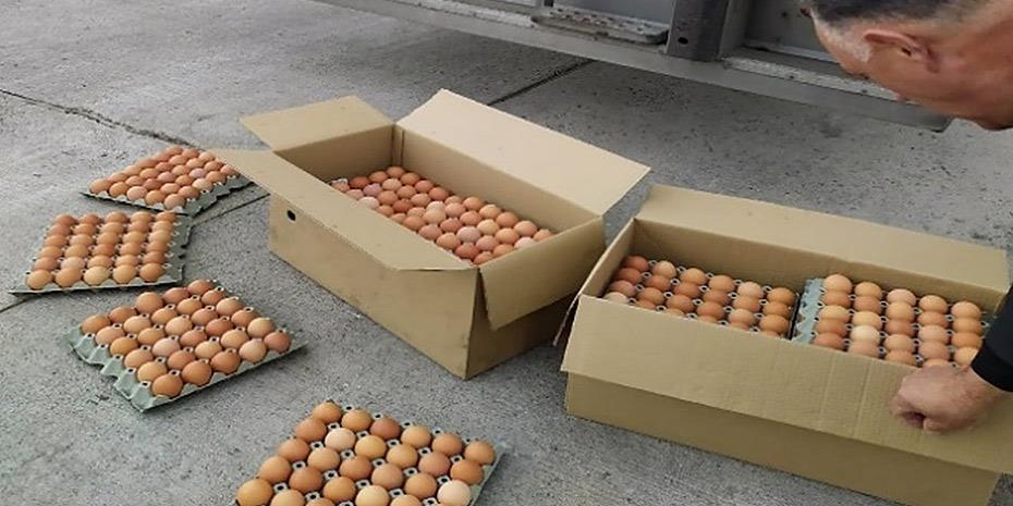 Μπλόκο του ΣΔΟΕ σε πάνω από 300.000 αβγά από τη Βουλγαρία