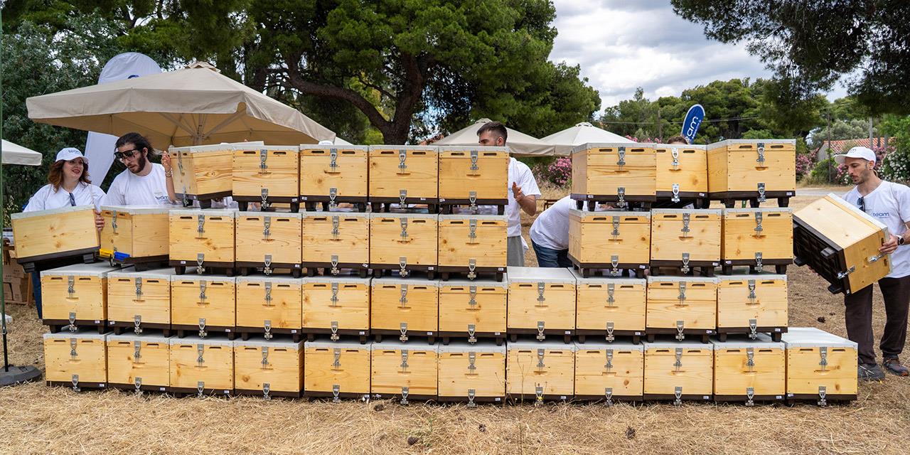 AEGEAN: Η βιωσιμότητα στην πράξη μέσα από το «Bee the Change»