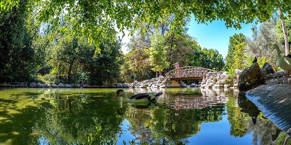 Οκτώ μικρές αποδράσεις στην Αθήνα για να νιώσεις πως... έφυγες