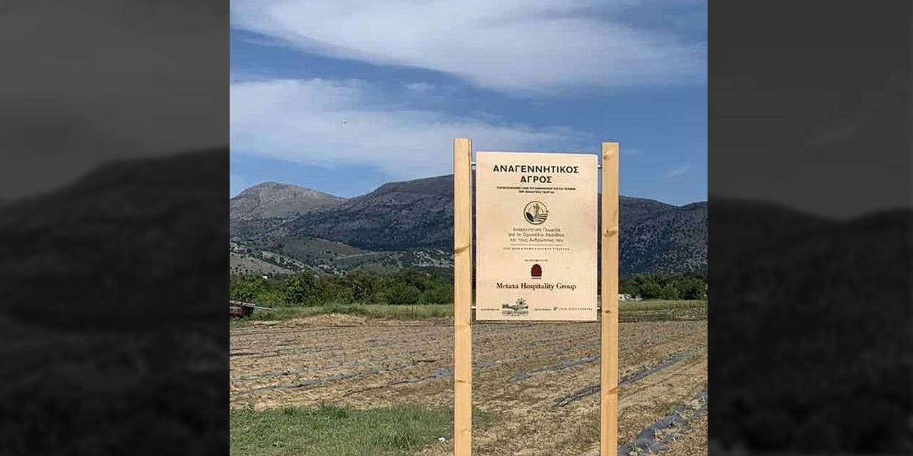 Αναγεννητική φιλοξενία: Το νέο επιχειρηματικό μοντέλο για τον τουρισμό του μέλλοντος