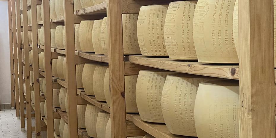 Τ. Αβέρωφ (Ιδρυμα Τοσίτσα): Κολυμπάμε αντίθετα με το ρεύμα του ποταμού