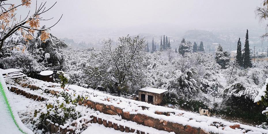 Χιονοθύελλα έπληξε περιοχές στο Λίβανο