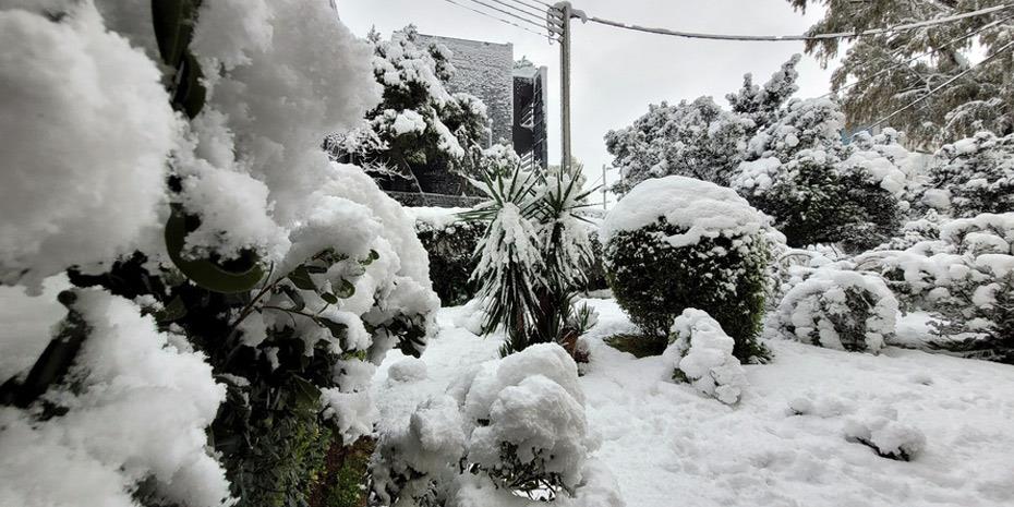 Σφοδρή χιονόπτωση στο Βόλο, μήνυμα 112 έλαβαν οι πολίτες