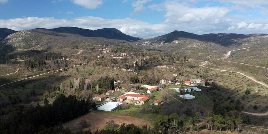 Μεγάλα ονόματα στην κούρσα για τα πρώην βασιλικά κτήματα στο Τατόι