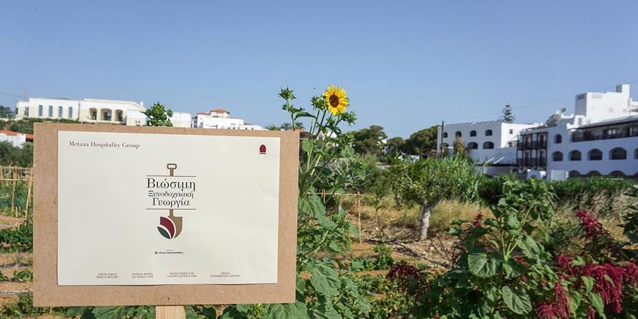 Πιστοποίηση ΔΗΩ στις βιολογικές-αναγεννητικές γαίες του Metaxa Hospitality Group