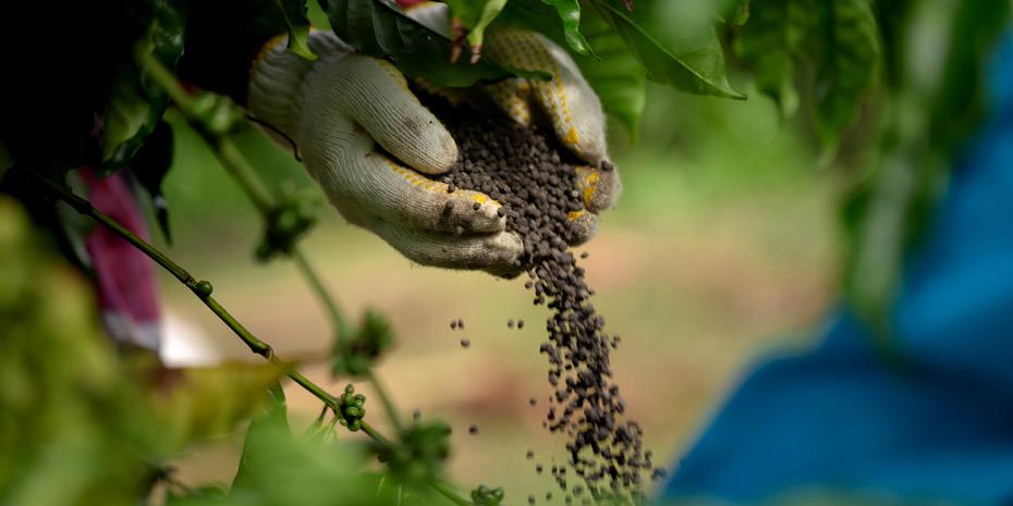 Παρατείνει τους περιορισμούς στις εξαγωγές λιπασμάτων η Ρωσία