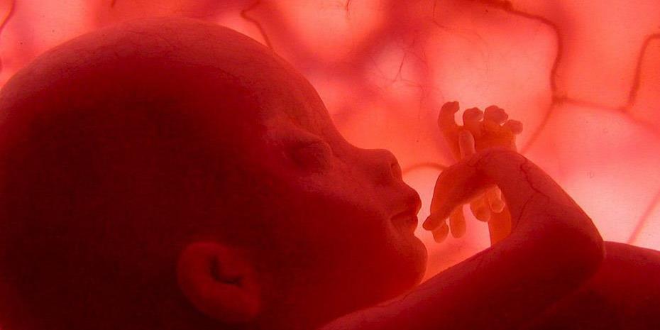 Γερμανία: Εισήγηση για νομιμοποίηση αμβλώσεων τις πρώτες 12 εβδομάδες κύησης