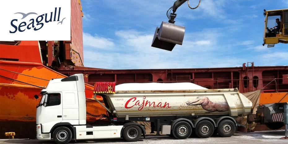 Σε καθεστώς προστασίας από τους πιστωτές της η Seagull εν μέσω εξυγίανσης