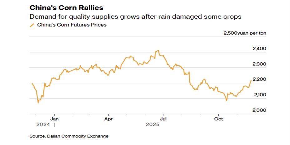 Άλμα δύο μηνών για το καλαμπόκι στην Κίνα μετά τις έντονες βροχοπτώσεις