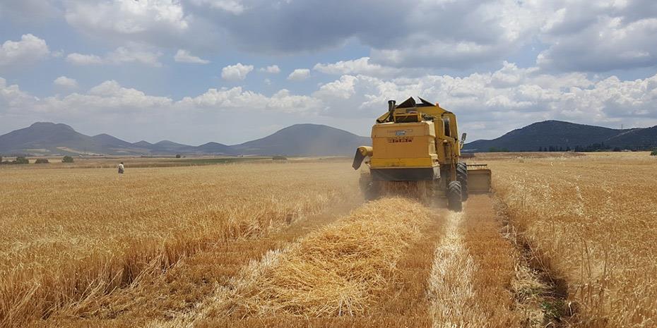 Αθηναϊκή Ζυθοποιία: Μεγάλη η κοινωνική αξία από το Πρόγραμμα Συμβολαιακής Καλλιέργειας Κριθαριού