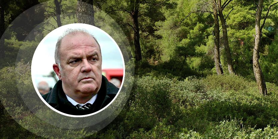 Δήμος Διονύσου: Η βραδυφλεγής βόμβα και οι ευθύνες για τη Μήδεια