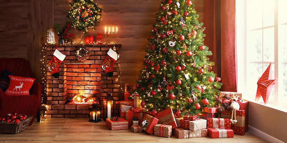 Ανακύκλωση χριστουγεννιάτικων δέντρων στη Θεσσαλονίκη