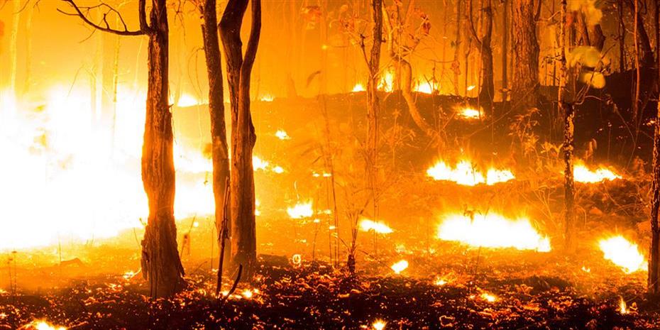 Ψήνεται η Καλιφόρνια, πυρκαγιές καίνε πέντε κομητείες