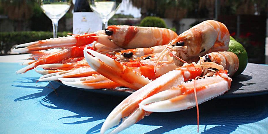 Βουτιές και ούζα σε Ανάβυσσο και Παλαιά Φώκαια