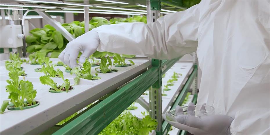 Διευρύνεται ο «Κόμβος Θερμοκηπίων» για την ανάπτυξη των καλλιεργειών