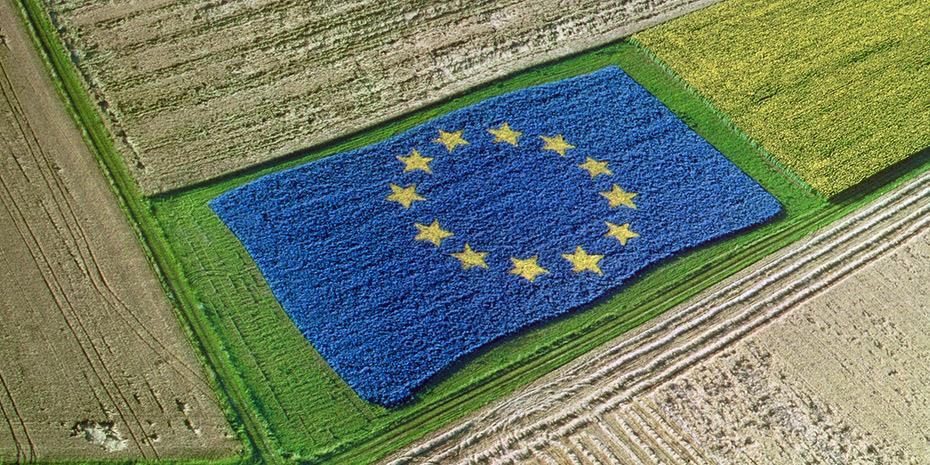 Η ΕΕ θεσπίζει αυστηρά όρια στα κατάλοιπα φυτοφαρμάκων