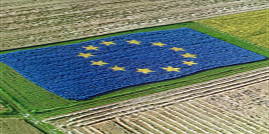 Διπλή μάχη στην ΕΕ για δημοσιονομικό κορσέ και πράσινες επιδοτήσεις