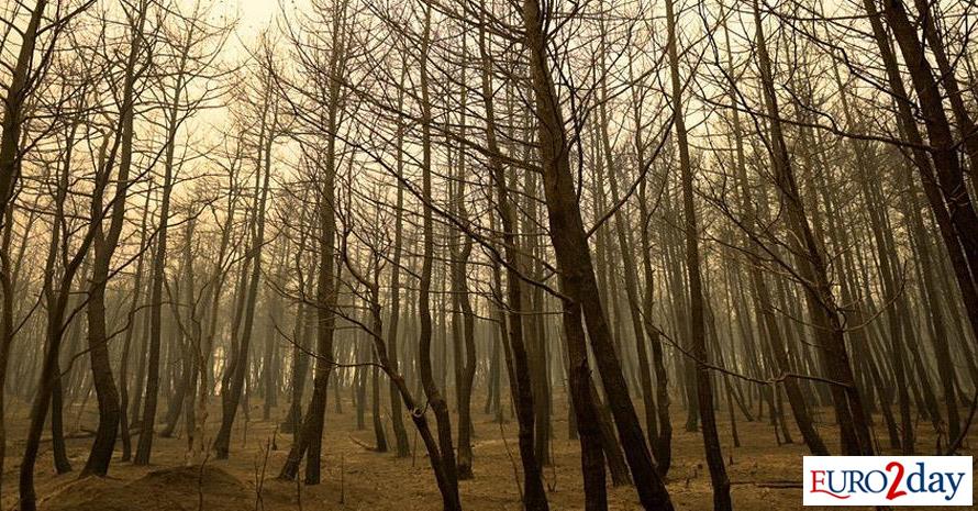 Προβλήματα στη διανομή των πόρων πυροπροστασίας