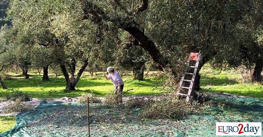 Κυβερνητική δράση για γρηγορότερες «εισαγωγές» εργαζομένων