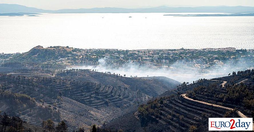 Χίος: Πληρωμές 727.481 ευρώ σε επιχειρήσεις που επλήγησαν από τις πυρκαγιές