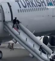 Φωτιά σε αεροσκάφος της Turkish Airlines, εκκενώθηκε άμεσα