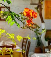 Οι πιο όμορφες αυλές σε Δάφνη, Αγιο Δημήτριο και Νέο Κόσμο