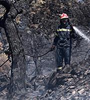 Πολύ υψηλός κίνδυνος πυρκαγιάς προβλέπεται την Πέμπτη για πολλές περιοχές της χώρας