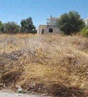 Ακαθάριστα Οικόπεδα: Ανακοινώθηκε η παράταση έως τις 15 Ιουνίου 