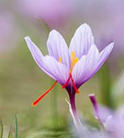 Πόροι 60.000 ανά δήμο για επενδύσεις σε βιώσιμες πόλεις