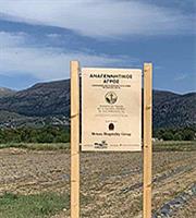 Αναγεννητική φιλοξενία: Το νέο επιχειρηματικό μοντέλο για τον τουρισμό του μέλλοντος