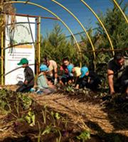 Συμμετοχή 500 μαθητών στο πρόγραμμα «Carbon Farming Schools»