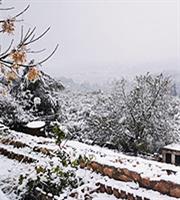 Καιρός: Χιόνι στο 12% της χερσαίας έκτασης της Ελλάδας