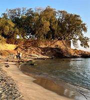 Η Πούντα στο Λαγονήσι είναι η τέλεια παραλία με άμμο στην Αττική