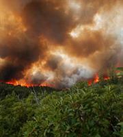 Χιλή: Τέσσερις νεκροί και μεγάλες καταστροφές από τις δασικές πυρκαγιές