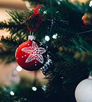 Στολίζουμε και ανάβουμε τα λαμπάκια του δέντρου τώρα!