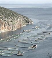 Χρηματοδότηση του αλιευτικού καταφυγίου Αστακού από το υπουργείο Ναυτιλίας