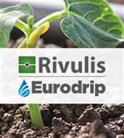 Rivulis - Eurodrip: Η παραμονή στη Ρωσία και οι προκλήσεις