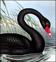 To hedge fund που πλούτισε από τον κορωνοϊό