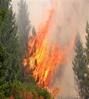 Ε.Ε. Copernicus: Γιατί η Μεσόγειος έχει εξελιχθεί σε hotspot πυρκαγιών